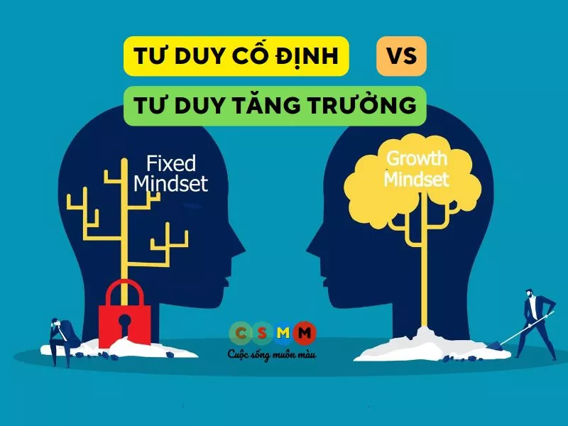 Tư duy cố định và tư duy phát triển